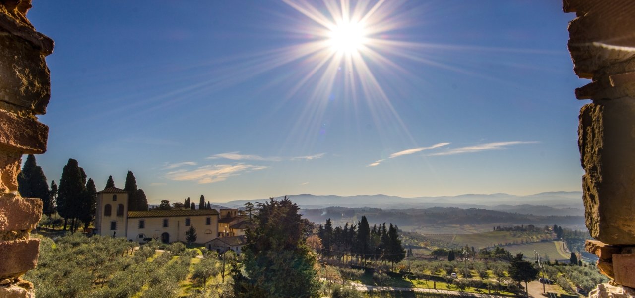 sun shining over the vineyards